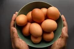 Eggs & Dairy